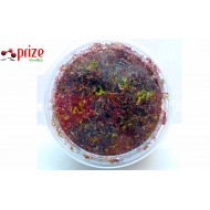 Rotala Macrandra Mini Red