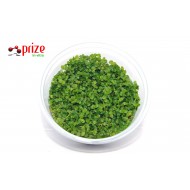 Micranthemum Monte Carlo