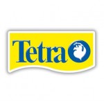 Tetra  Tetra