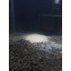 Bio Powder Bio Powder