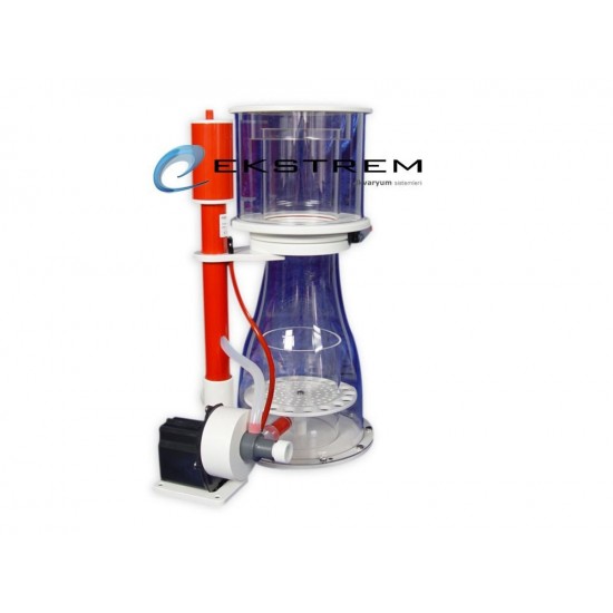 Royal Exclusiv - Bubble King - Double Cone 200