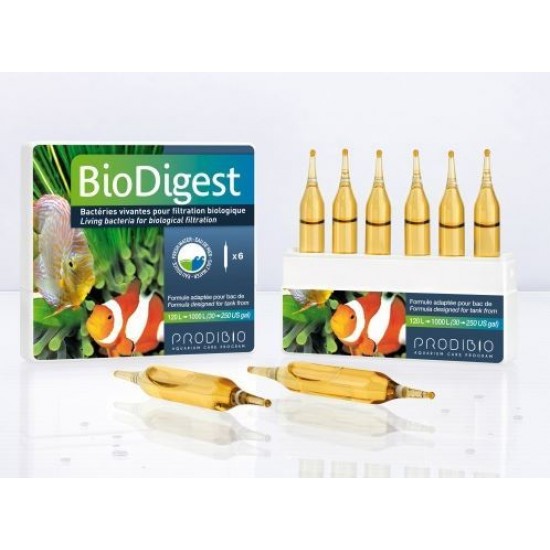 Prodibio - BioDigest 6 pcs Prodibio - BioDigest 6 pcs