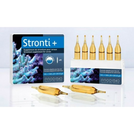 Prodibio - Stronti+ 6 pcs Prodibio - Stronti+ 6 pcs