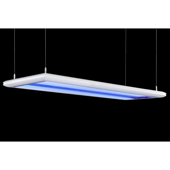 Giesemann - MATRIXX II - 8 x 39 W T5 Giesemann - MATRIXX II - 8 x 39 W T5