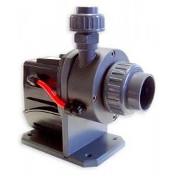 Royal Exclusiv - Red Dragon 8 m3